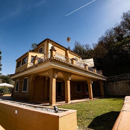 Villa Con Piscina Privata A 2 Kilometri Da Tropea Gasponi Exterior photo